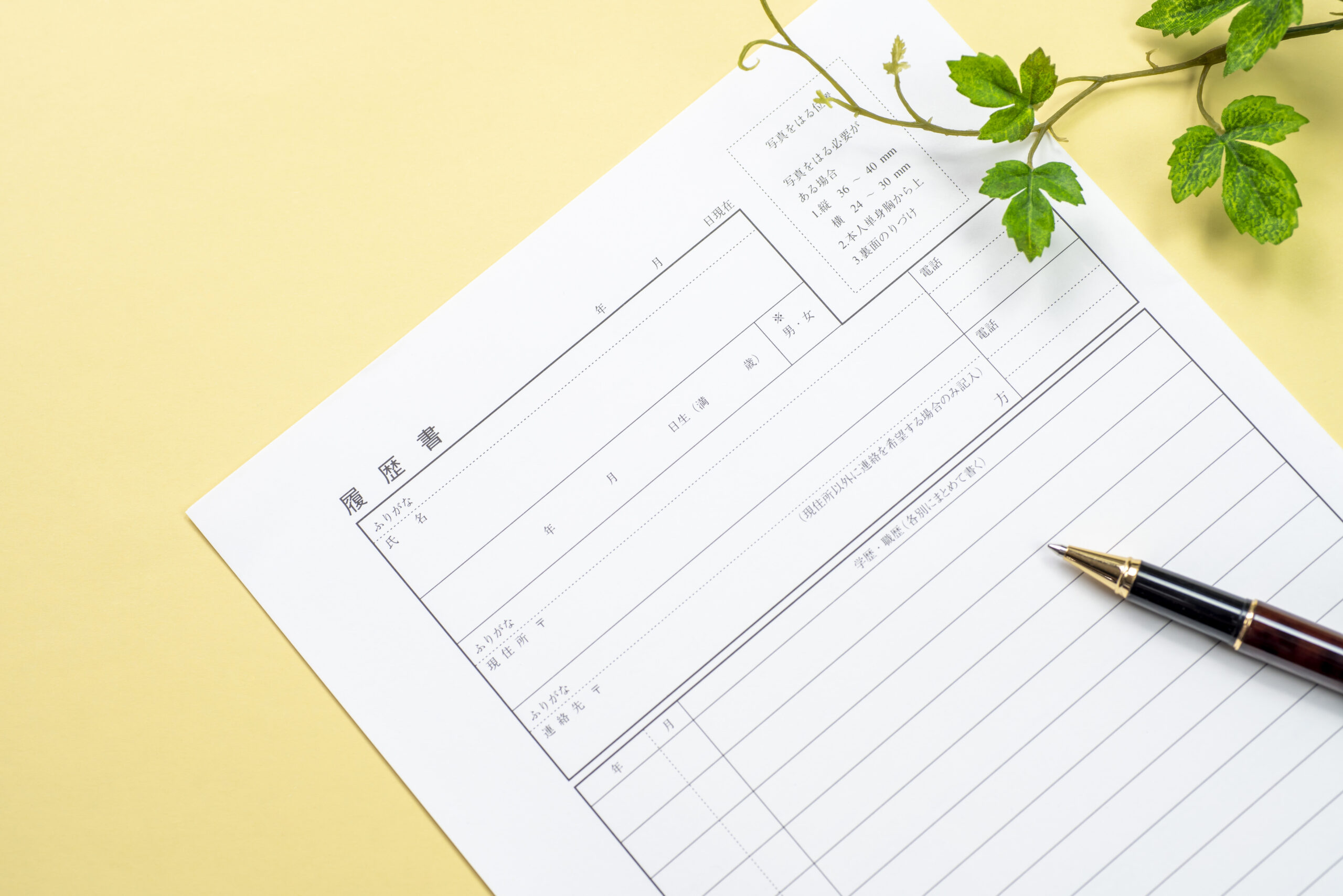 就活の履歴書の免許欄の書き方は？取得予定の書き方も併せて解説